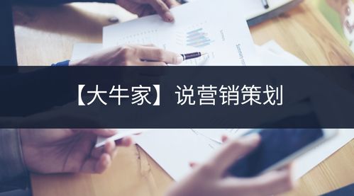 大牛家 營銷策劃與企業(yè)咨詢的雙輪驅(qū)動(dòng)之道